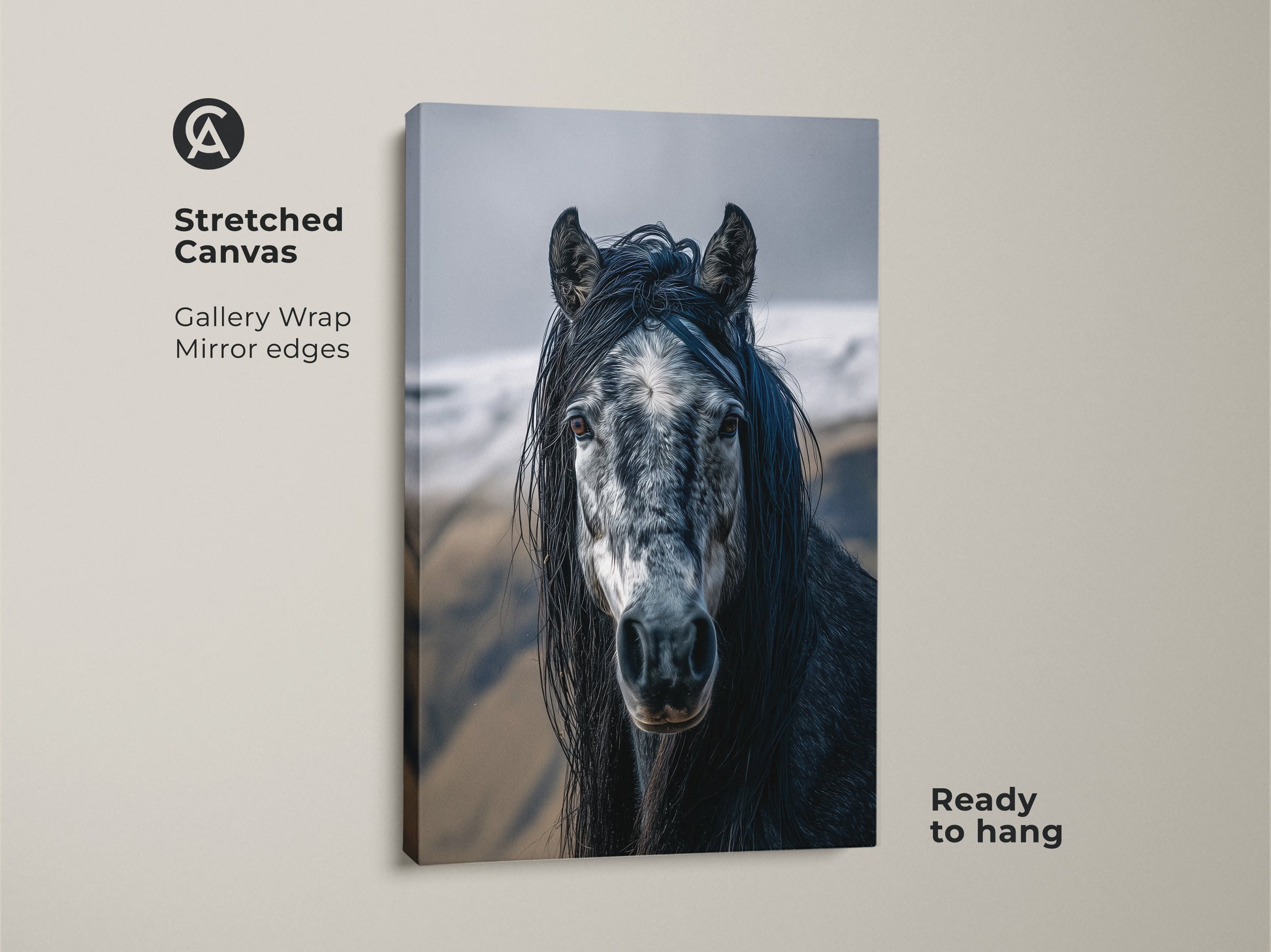 Stretched canvas featuring a photorealistic horse. The rustic equine wall art showcases a dark grey and white horse. It's ready to hang. Ideal bedroom horse decor for animal lovers. This canvas brings natural elegance to your home.  A thoughtful gift for horse enthusiasts.
