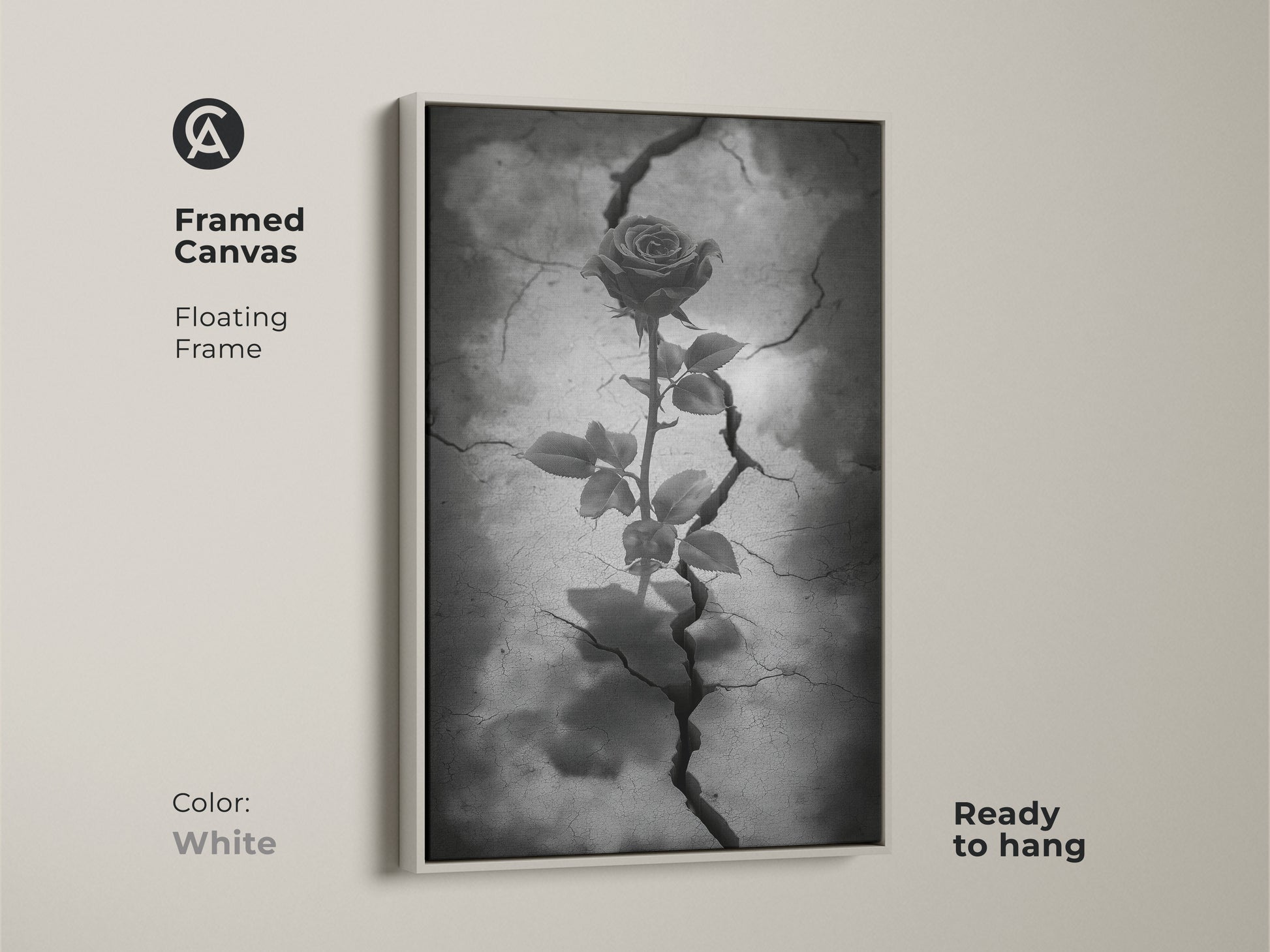 White framed canvas showcasing gothic rose artwork. The floating frame emphasizes dark floral artwork with a rose emerging from cracked earth. This surreal botanical art is in black white and gray tones. Ready to hang this piece enhances gothic decor. It's symbolic rose art for eclectic home decor.
