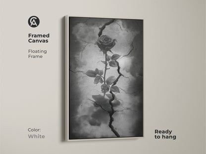 White framed canvas showcasing gothic rose artwork. The floating frame emphasizes dark floral artwork with a rose emerging from cracked earth. This surreal botanical art is in black white and gray tones. Ready to hang this piece enhances gothic decor. It's symbolic rose art for eclectic home decor.