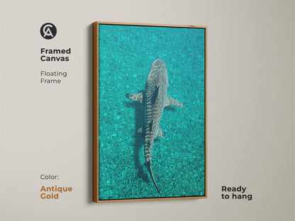 Framed canvas with an antique gold floating frame featuring tiger shark art in teal ocean water. This ready to hang artwork offers a coastal wildlife print. The blue underwater scene enhances any space. A unique housewarming gift ocean.