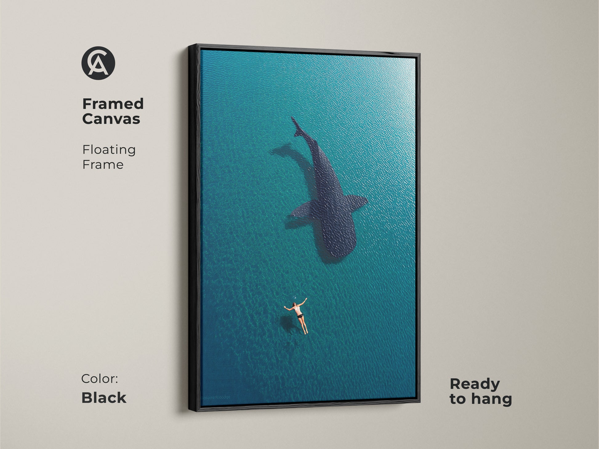Black framed canvas featuring a swimmer and whale shark aerial art print. This ready-to-hang coastal wall decor adds a modern touch to any room. The deep blue turquoise artwork creates a serene underwater scene for ocean lovers.