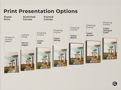 Explore print options for realistic Baobab tree artwork. Choose from poster prints stretched canvases and framed canvases. Each features an African savanna landscape with earth tones and sky blue.