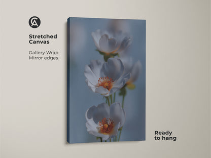 Delicate white flower art print on stretched canvas. This soft focus botanical wall art brings a gentle touch to your space. Light blue floral canvas enhances Scandinavian home decor. The minimalist bedroom wall art is ready to hang. It's a perfect housewarming gift with nature inspired artwork.