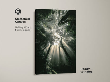 Stretched canvas of a sunbeam tropical foliage artwork. The deep green nature art print is ready to hang. Gallery wrapped with mirror edges. This photorealistic forest scene enhances boho bedroom decor.