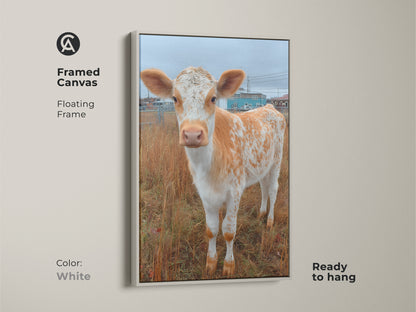 Framed canvas art of a Holstein calf. The artwork has a floating white frame. This ready-to-hang art print is a great addition to any room. Explore framed animal artwork for your space.