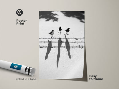 Minimalist bird and music notes poster print rolled in a tube. Easy to frame black and white wall art for a study. Contemporary artwork gift for music lovers.