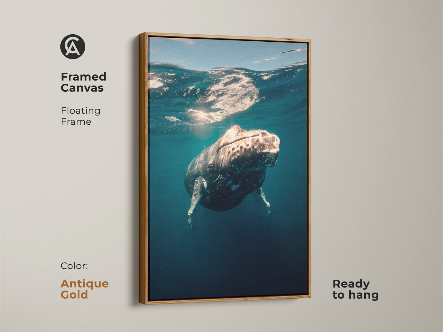 Framed canvas art featuring a humpback whale. The antique gold floating frame enhances the ocean artwork. Ready to hang in any room. This is a coastal themed art piece. This framed canvas makes a great whale watching gift.