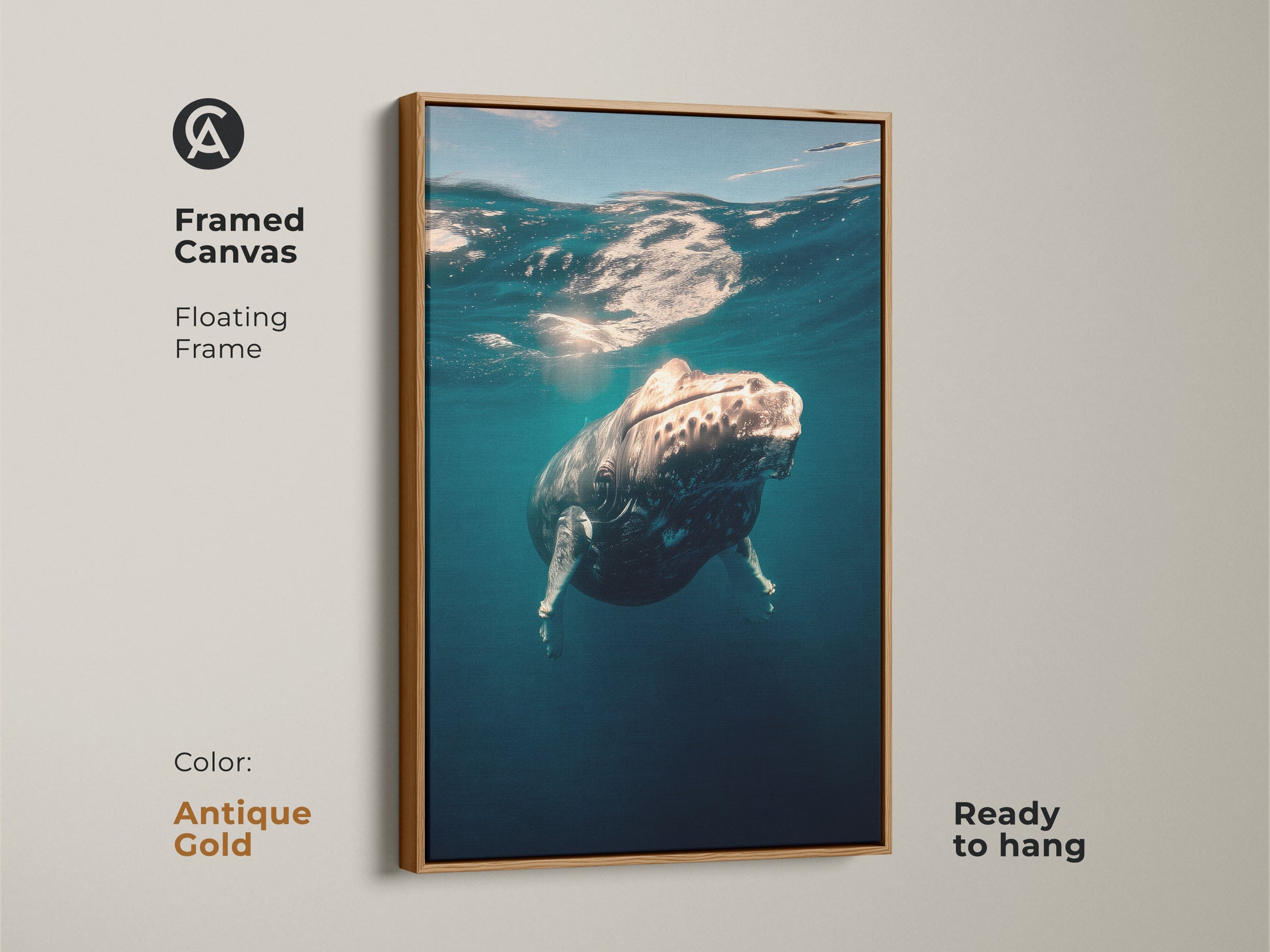 Framed canvas art featuring a humpback whale. The antique gold floating frame enhances the ocean artwork. Ready to hang in any room. This is a coastal themed art piece. This framed canvas makes a great whale watching gift.