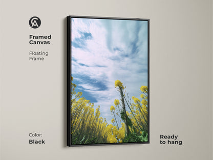 Framed canvas print of a yellow canola field under a blue sky. The floating frame adds depth to this impressionistic artwork. This piece is ready to hang. A perfect addition to any residential wall. Features blooming yellow flowers. Enhance your home with this spring garden canvas art.