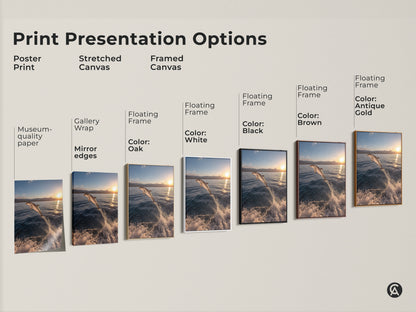 Explore various print presentation options for your coastal dolphin sunset artwork. Choose from poster prints stretched canvas or framed canvas. Select a floating frame in colors like Oak White Black Brown or Antique Gold. Find the perfect style to showcase this stunning ocean sunset canvas art.