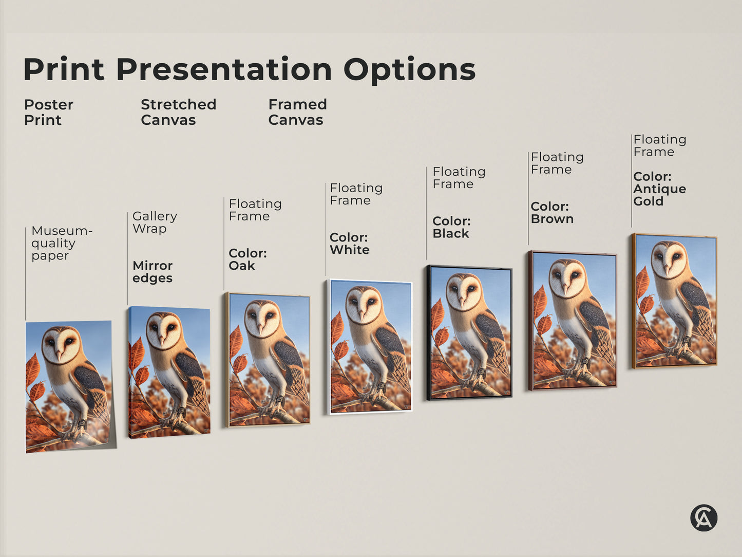 Print presentation options featuring a barn owl. Choose from poster print stretched canvas or framed canvas. Options include museum quality paper gallery wrap and floating frames in various colors. Includes oak white black brown and antique gold frames.
