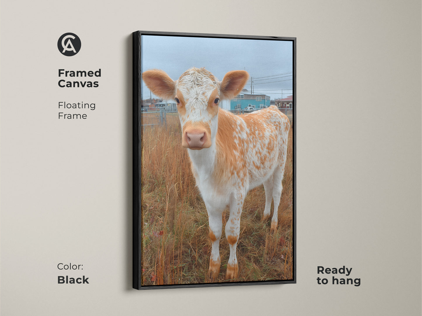 Framed canvas art featuring a Holstein calf. The artwork has a floating black frame. This ready-to-hang art print is a great addition to any home. Find unique animal artwork for your walls today.