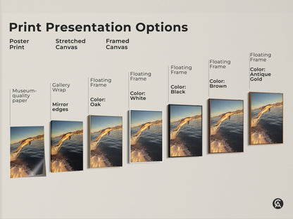 Explore print presentation options for dolphin artwork. Options include poster prints stretched canvas and framed canvas. Each option brings a coastal home aesthetic. Choose the perfect style for your beach house decor or a unique gift for ocean art lovers.