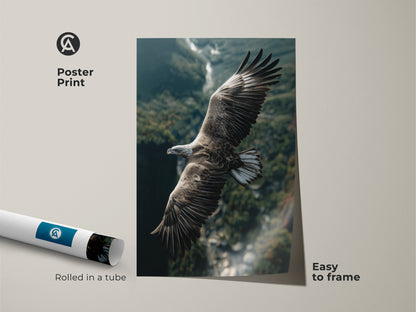 Eagle wildlife photography print rolled in a tube. Easy to frame poster print captures the majestic bird in flight. Perfect for rustic home decor or a study room. A great gift for bird watchers and nature lovers.