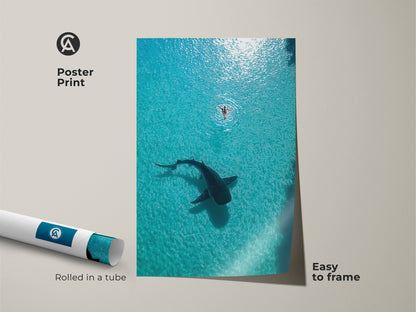Poster Print of an aerial view of a whale shark and swimmer in turquoise water. This coastal artwork is rolled in a tube and easy to frame. Showcase this minimalist ocean decor as a unique marine life wall hanging. Perfect for adventure seekers.