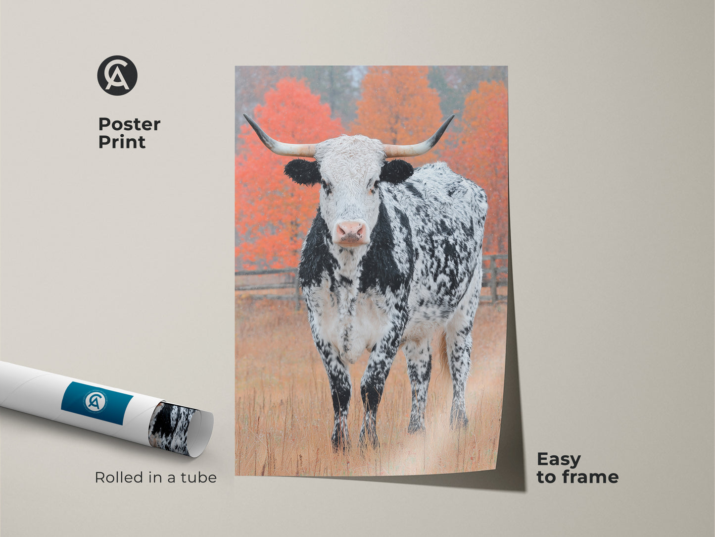 Adorn your walls with a Longhorn Cow poster print. The rolled art is easy to frame. It captures a black and white speckled Longhorn in a field. See the autumn colored trees in the background. Buy today