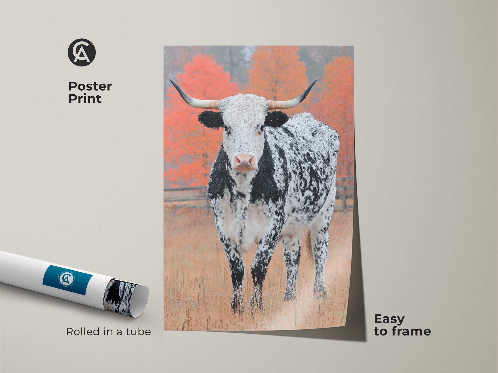 Adorn your walls with a Longhorn Cow poster print. The rolled art is easy to frame. It captures a black and white speckled Longhorn in a field. See the autumn colored trees in the background. Buy today