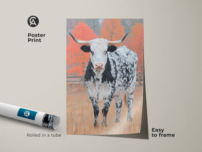 Adorn your walls with a Longhorn Cow poster print. The rolled art is easy to frame. It captures a black and white speckled Longhorn in a field. See the autumn colored trees in the background. Buy today
