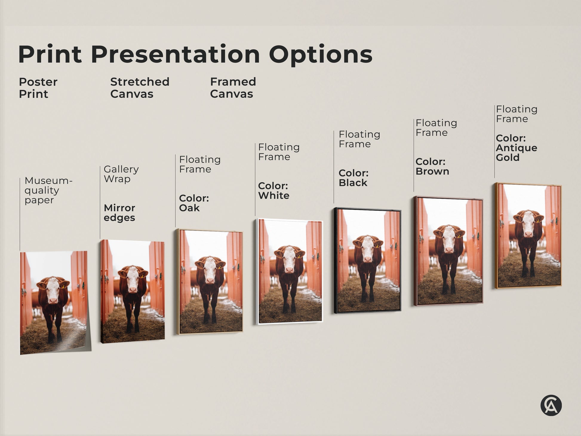 Explore print presentation options for farmhouse cow artwork. Choose from poster prints stretched canvas or framed canvas. Available with floating frames in various colors for rustic decor.