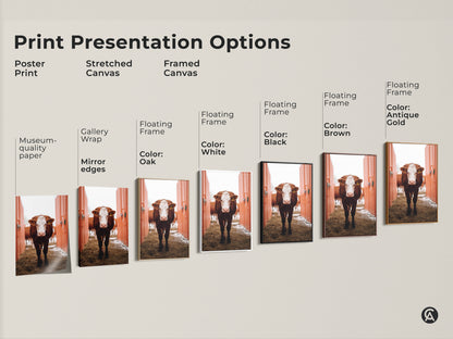 Explore print presentation options for farmhouse cow artwork. Choose from poster prints stretched canvas or framed canvas. Available with floating frames in various colors for rustic decor.