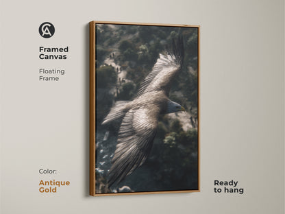 Antique gold floating frame around a canvas print of an eagle in flight. This powerful bird artwork is ready to hang. A perfect housewarming gift for him or a bird enthusiast.