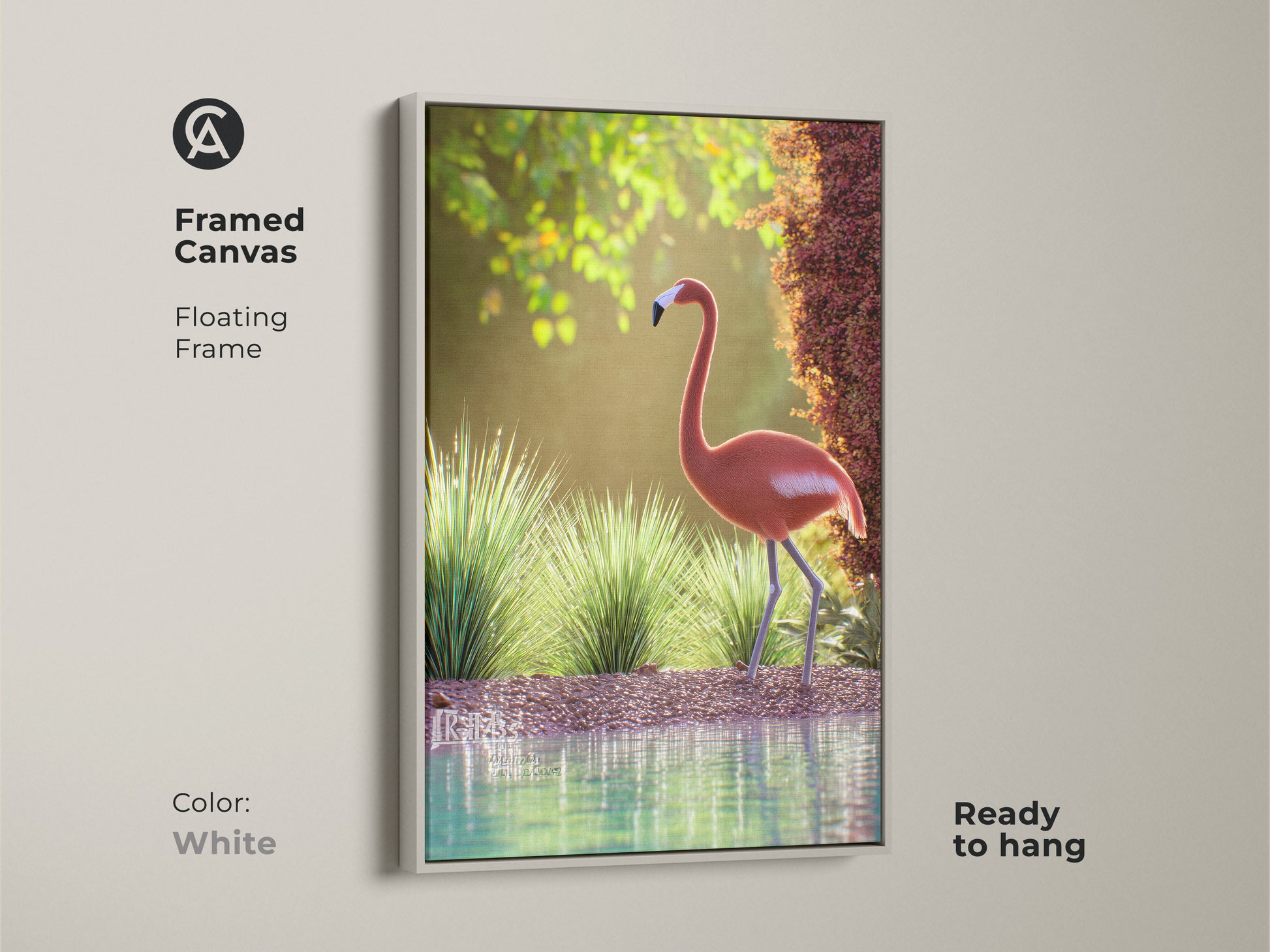 Framed canvas featuring a pink flamingo in a natural setting with a white floating frame. This wildlife artwork is ready to hang adding coastal charm to any room. The tranquil scene brings the beauty of nature indoors. Ideal for bedrooms living rooms or coastal themed spaces. A perfect piece for bird lovers.