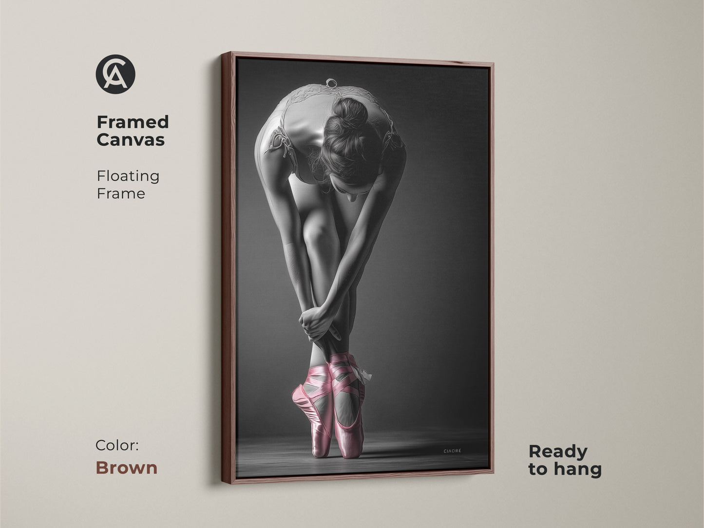 Brown framed canvas of a ballerina. This art piece features a dancer in pink pointe shoes. A floating frame adds sophistication. The canvas is ready to hang and admire in your space.