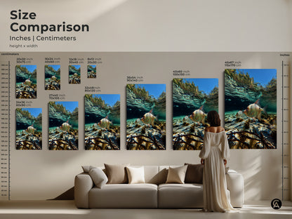 Size comparison of underwater fish art in inches and centimeters. Featuring photorealistic wildlife art in sizes from small to large. Canvas and poster prints displayed above a sofa. Adds a coastal touch to your living room.