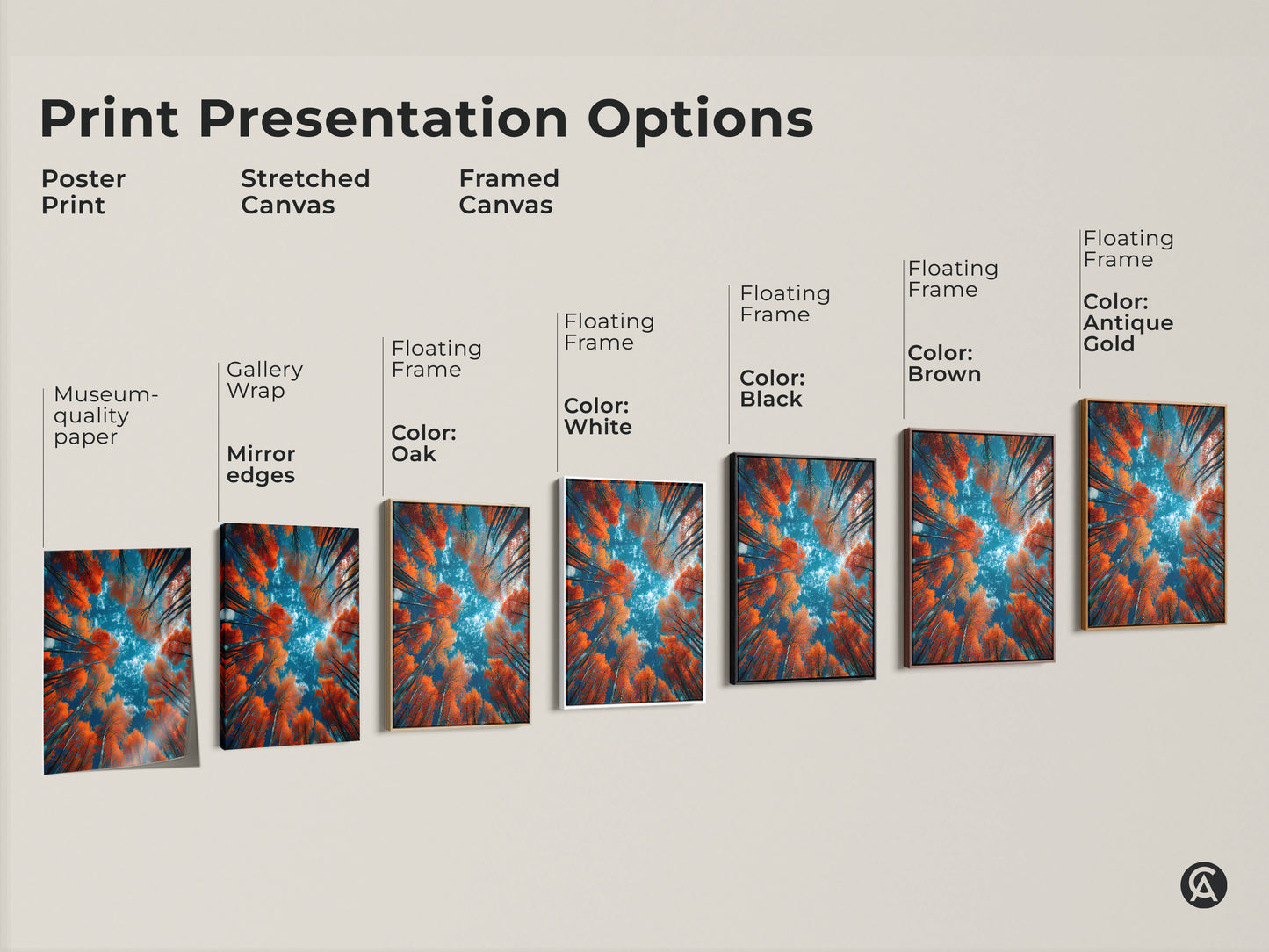 Explore print presentation options for our forest art featuring orange trees and a blue sky. Choose from poster prints stretched canvas and framed canvas. Find the perfect style to match your decor. Shop our museum-quality nature artwork today.