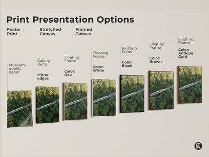 Explore print presentation options for aerial train canvas art. Choose from poster prints stretched canvas and framed canvas. Museum-quality edges gallery wrap and floating frames available. Colors include oak white black brown and antique gold. Find the perfect style for your modern artwork.