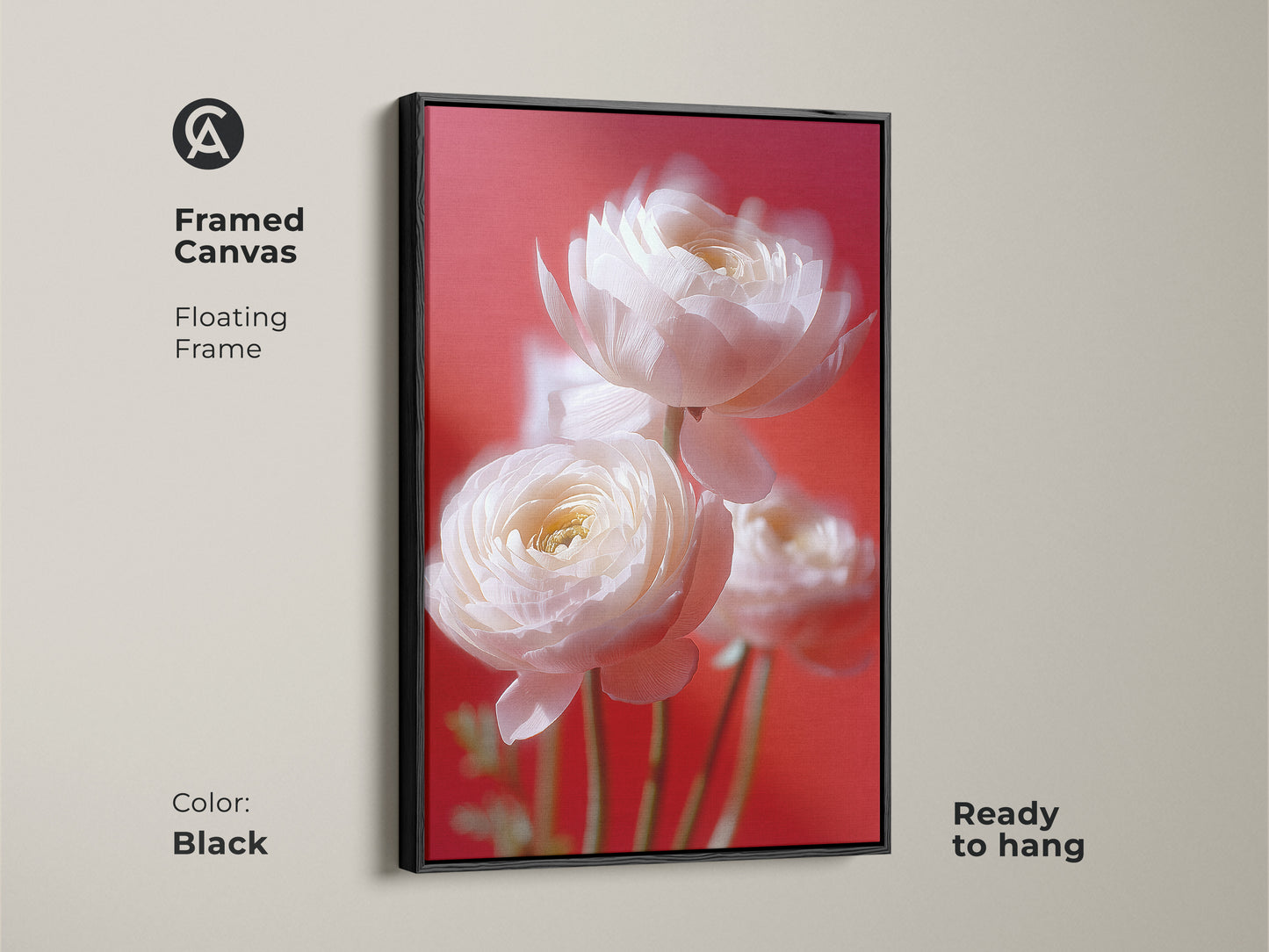 Black framed canvas art displays soft focus white ranunculus on a coral pink background. Ready to hang botanical floral photography wall art elevates any living space. This modern ranunculus art adds elegance to your home decor. Shop this anniversary gift wall art today.