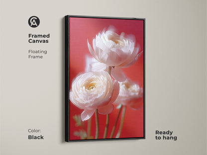 Black framed canvas art displays soft focus white ranunculus on a coral pink background. Ready to hang botanical floral photography wall art elevates any living space. This modern ranunculus art adds elegance to your home decor. Shop this anniversary gift wall art today.