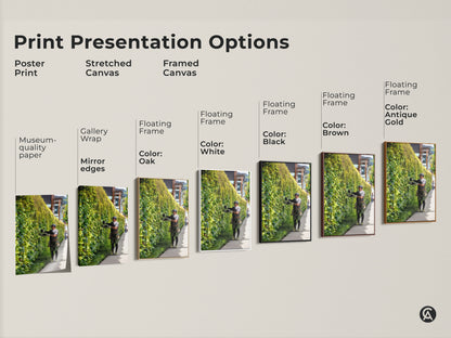 Explore print presentation options for our gardener trimming ivy wall art. Choose from poster prints stretched canvas and framed canvas. Each offers a unique way to display this emerald green nature photography.