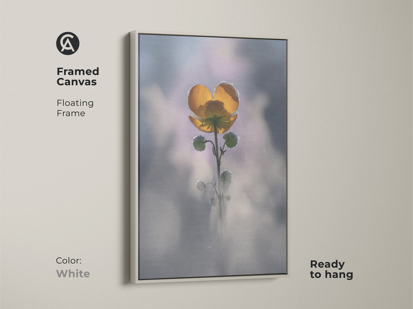 White framed canvas of a yellow buttercup. Floating frame highlights this macro nature photography. Soft focus botanical wall art is ready to hang. Boho bedroom nature decor for plant lovers is a delicate floral art.
