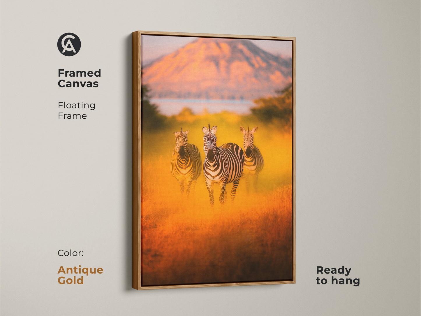 Framed canvas print featuring zebras in the African savanna landscape. Antique gold floating frame adds elegance to this wildlife artwork. Ready to hang and perfect for eclectic home decor. Warm earth tones create a cozy atmosphere. A unique housewarming gift for nature lovers. Ideal for bedroom or living room.