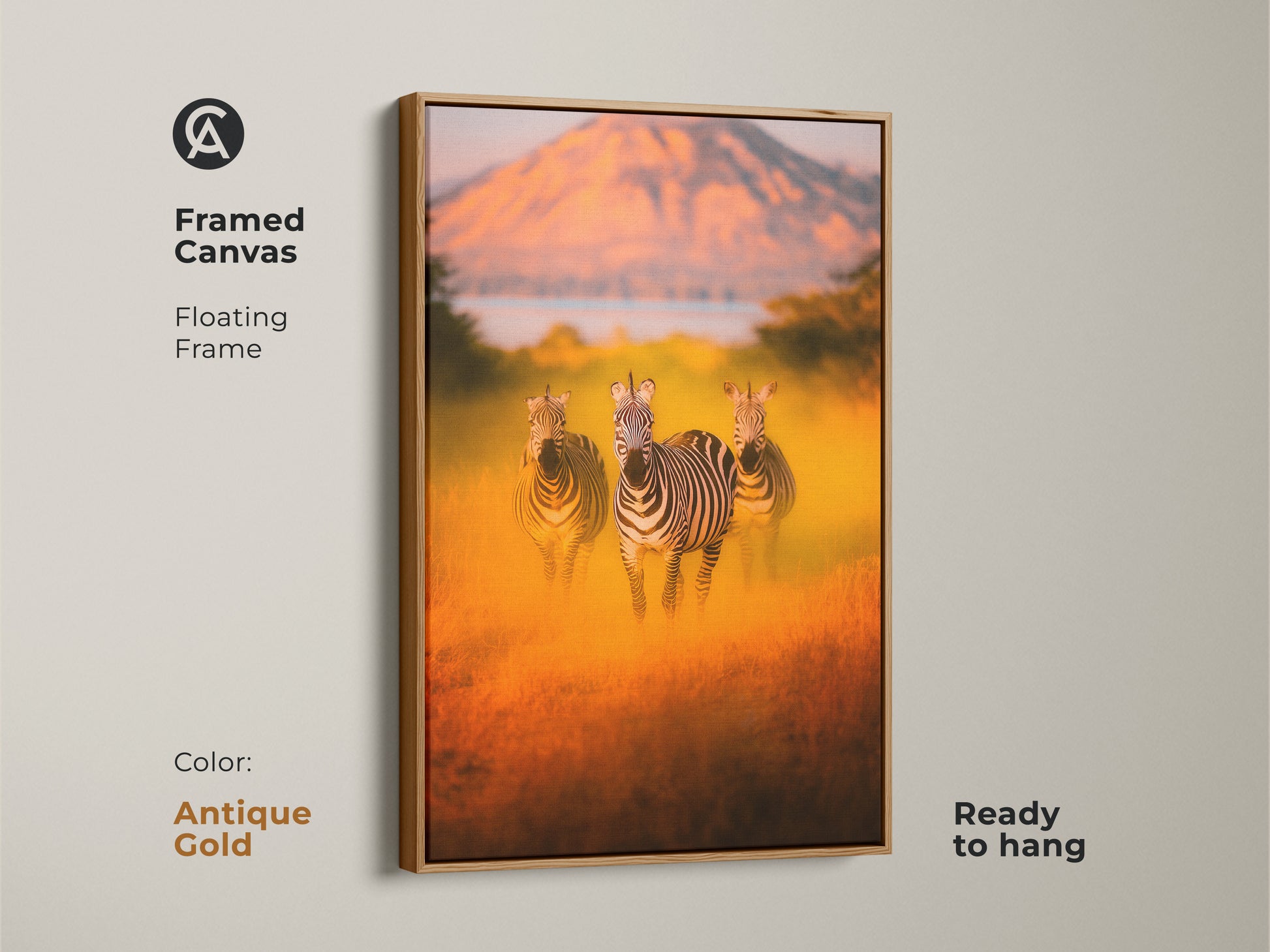 Framed canvas print featuring zebras in the African savanna landscape. Antique gold floating frame adds elegance to this wildlife artwork. Ready to hang and perfect for eclectic home decor. Warm earth tones create a cozy atmosphere. A unique housewarming gift for nature lovers. Ideal for bedroom or living room.
