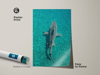 Poster print of a tiger shark swimming in teal water. The rolled art is easy to frame. This photorealistic shark art captures a deep sea canvas look. Ideal as a marine wildlife print for ocean animal wall decor.