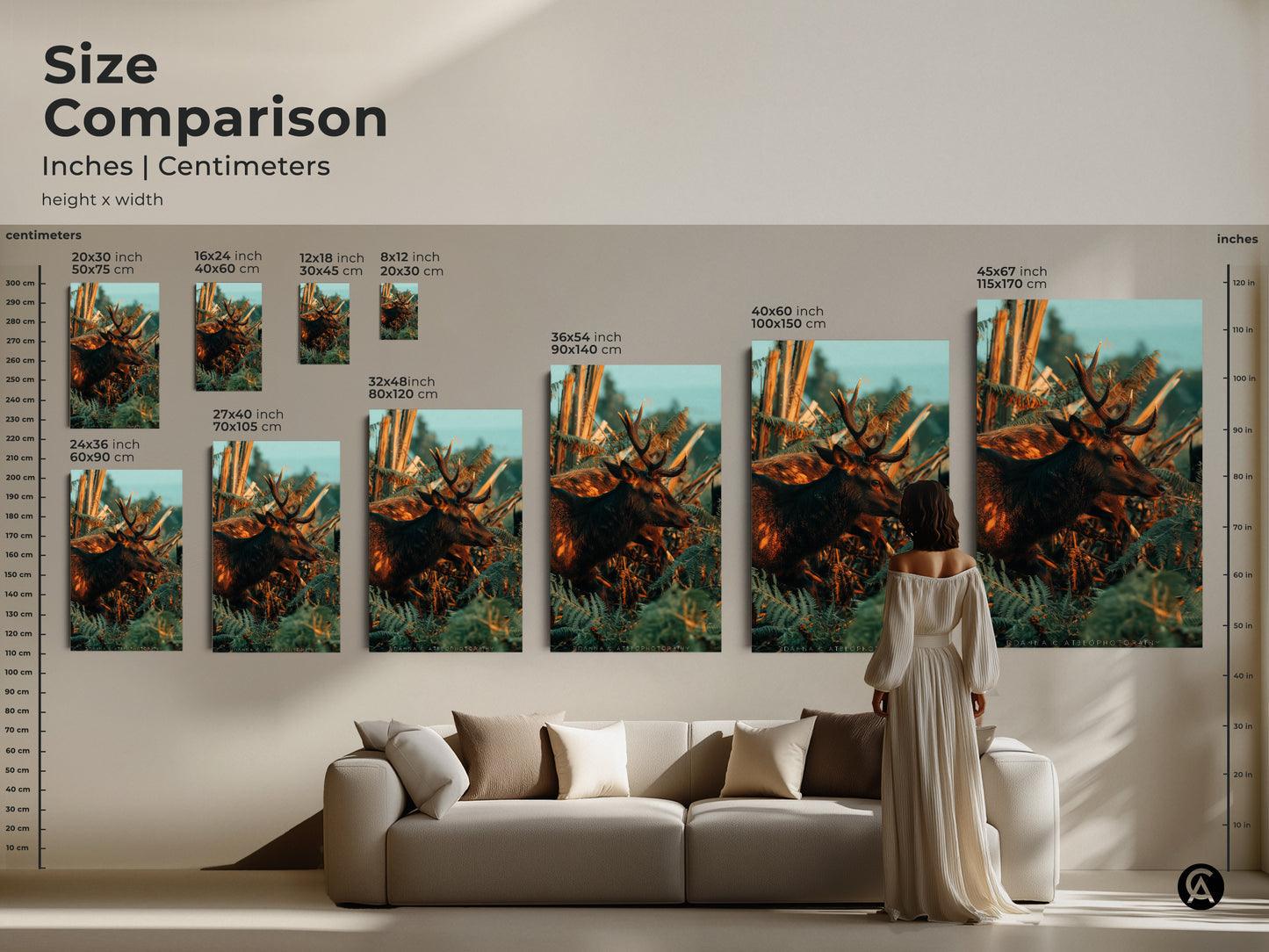 Size comparison of the deer and fern artwork in inches and centimeters. See how the canvas and poster prints look above a sofa. Available in various sizes from small to large. This wildlife photography art is perfect for creating a focal point in any room. Choose the ideal size for your space.