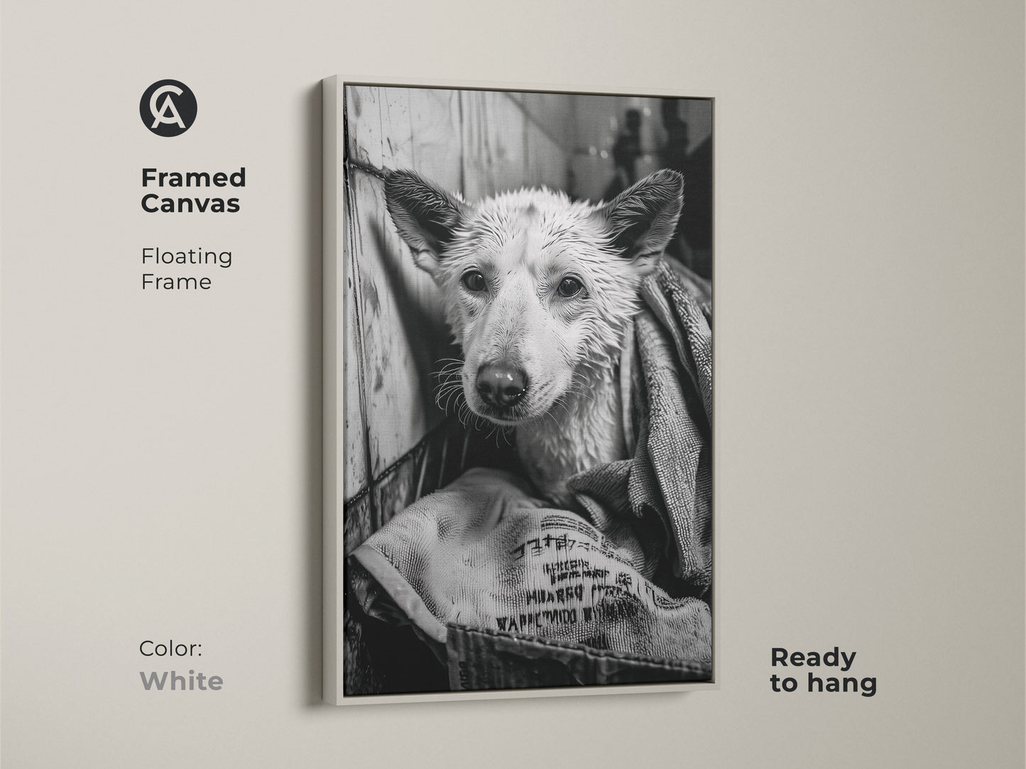 Framed canvas art in white featuring a wet dog. The floating frame complements the monochrome artwork. This ready-to-hang piece is perfect for dog lovers. The canine art piece adds a touch of humor to any room. This unique piece is a stylish decor choice.