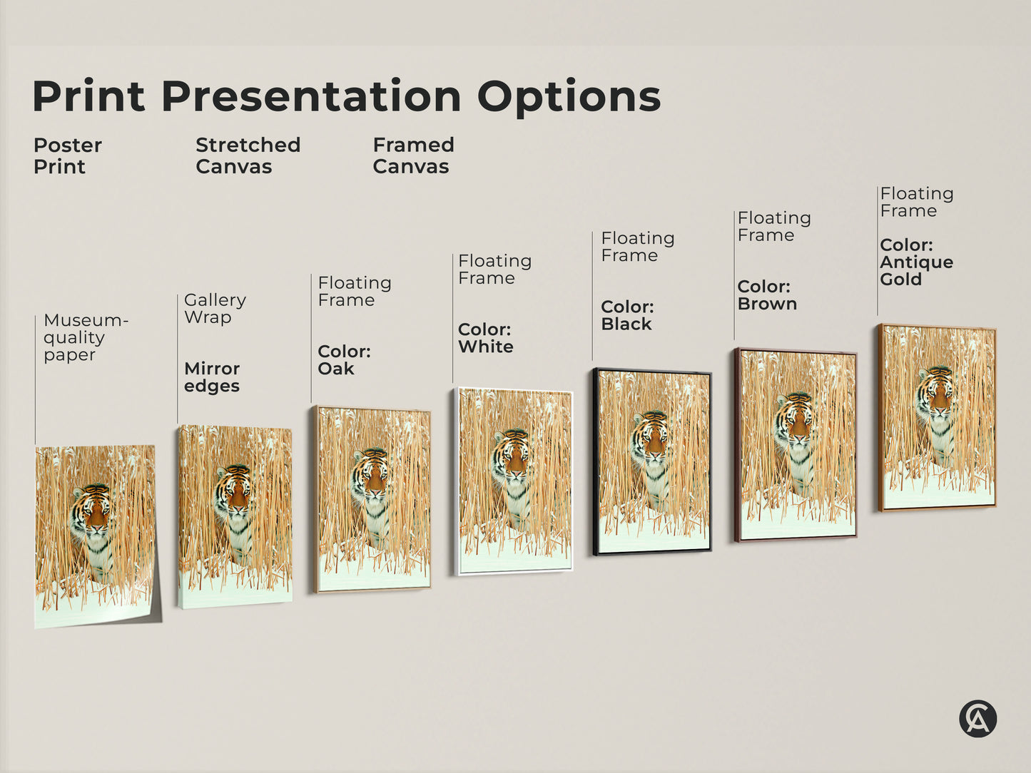 Explore print presentation options for wildlife art. Poster and stretched framed canvas selections for tiger in winter reeds artwork. Choose from gallery wrap floating frame and museum quality paper. Different colors of frames oak white black brown and antique gold