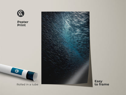 Poster print of a deep sea wildlife scene with a school of fish. The teal blue ocean art is easy to frame. Rolled in a tube this realistic marine life print is perfect for nautical home decor. A great gift for ocean lovers.