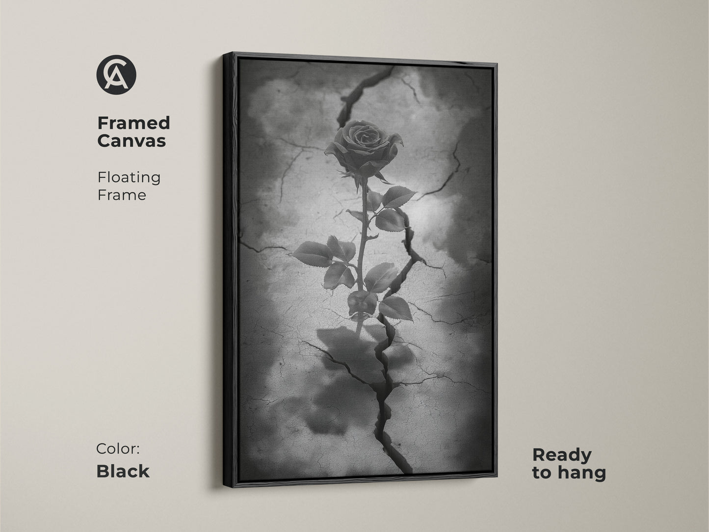 Black framed canvas displaying gothic rose artwork. This floating frame showcases dark floral artwork with a rose emerging from cracked earth. This surreal botanical art is in black white and gray tones. Ready to hang this piece enhances gothic decor. Consider it a symbolic rose art.
