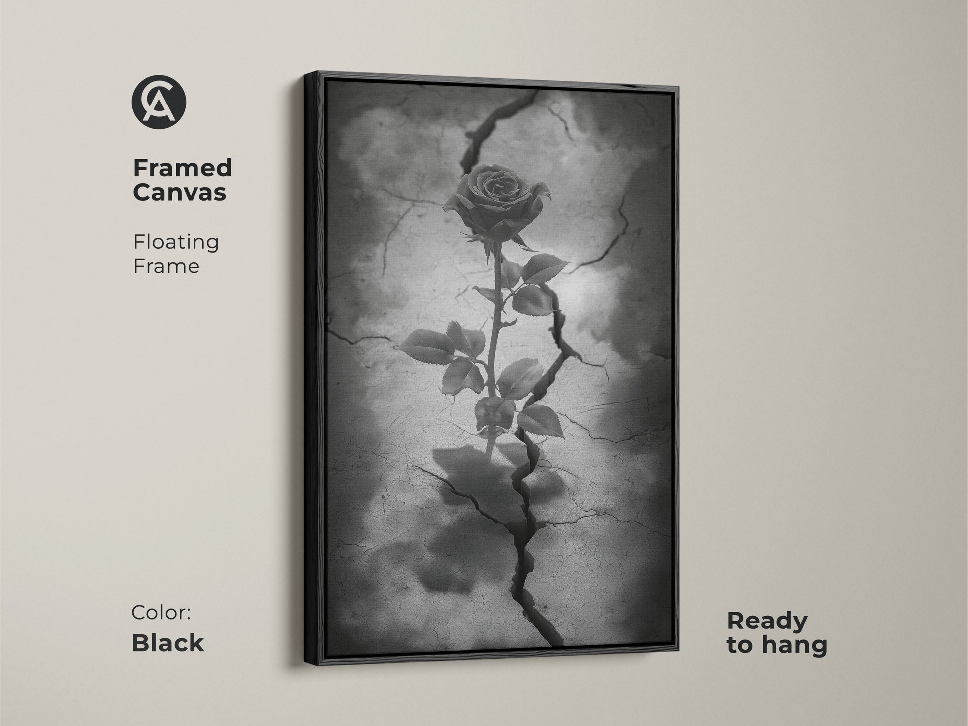 Black framed canvas displaying gothic rose artwork. This floating frame showcases dark floral artwork with a rose emerging from cracked earth. This surreal botanical art is in black white and gray tones. Ready to hang this piece enhances gothic decor. Consider it a symbolic rose art.