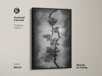 Black framed canvas displaying gothic rose artwork. This floating frame showcases dark floral artwork with a rose emerging from cracked earth. This surreal botanical art is in black white and gray tones. Ready to hang this piece enhances gothic decor. Consider it a symbolic rose art.