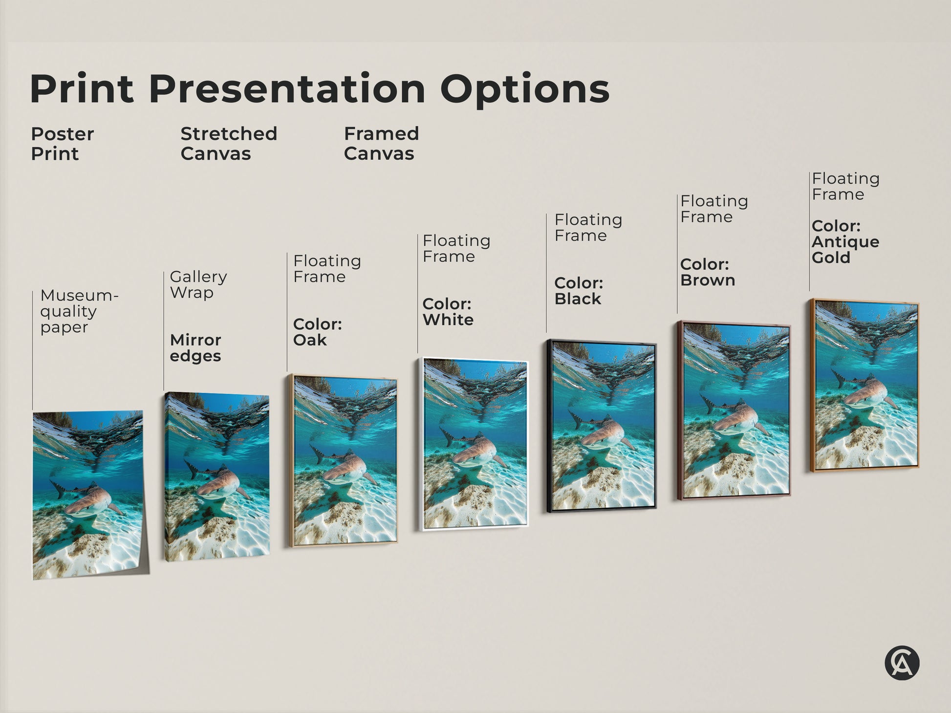 Explore print presentation options for underwater Tiger Shark artwork. Choose from poster prints stretched canvases and framed canvases. Available with gallery wrap museum-quality paper and floating frame options in white black brown or antique gold for perfect coastal wall decor.