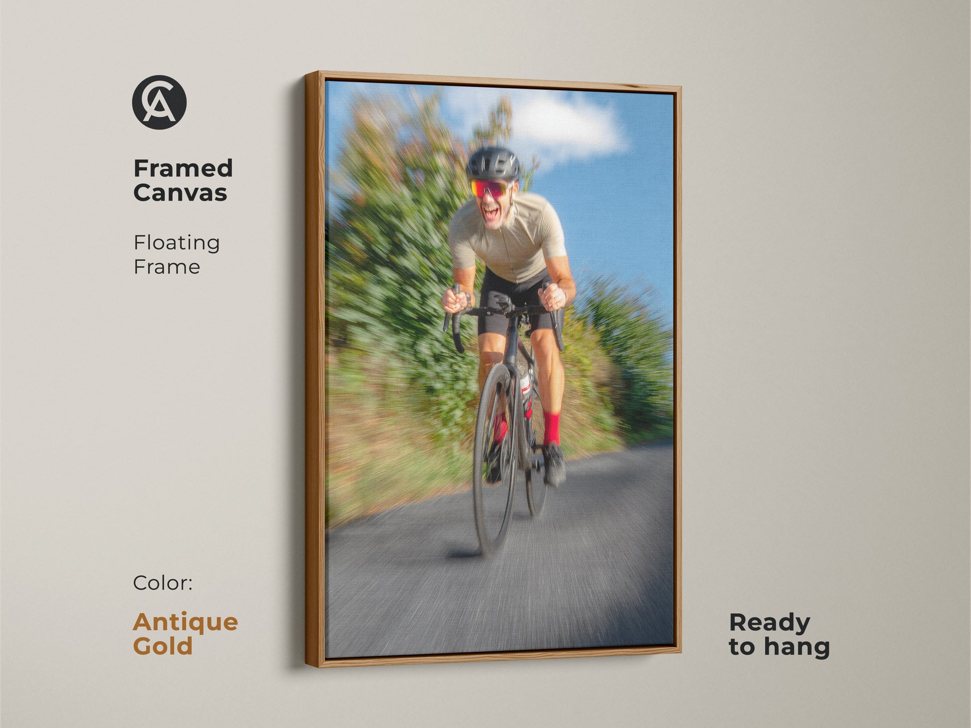Framed canvas cyclist art with an antique gold floating frame. This action photography captures the energy of road cycling. Its blue and grey palette complements any room. It's a unique sports gift and contemporary office art print.