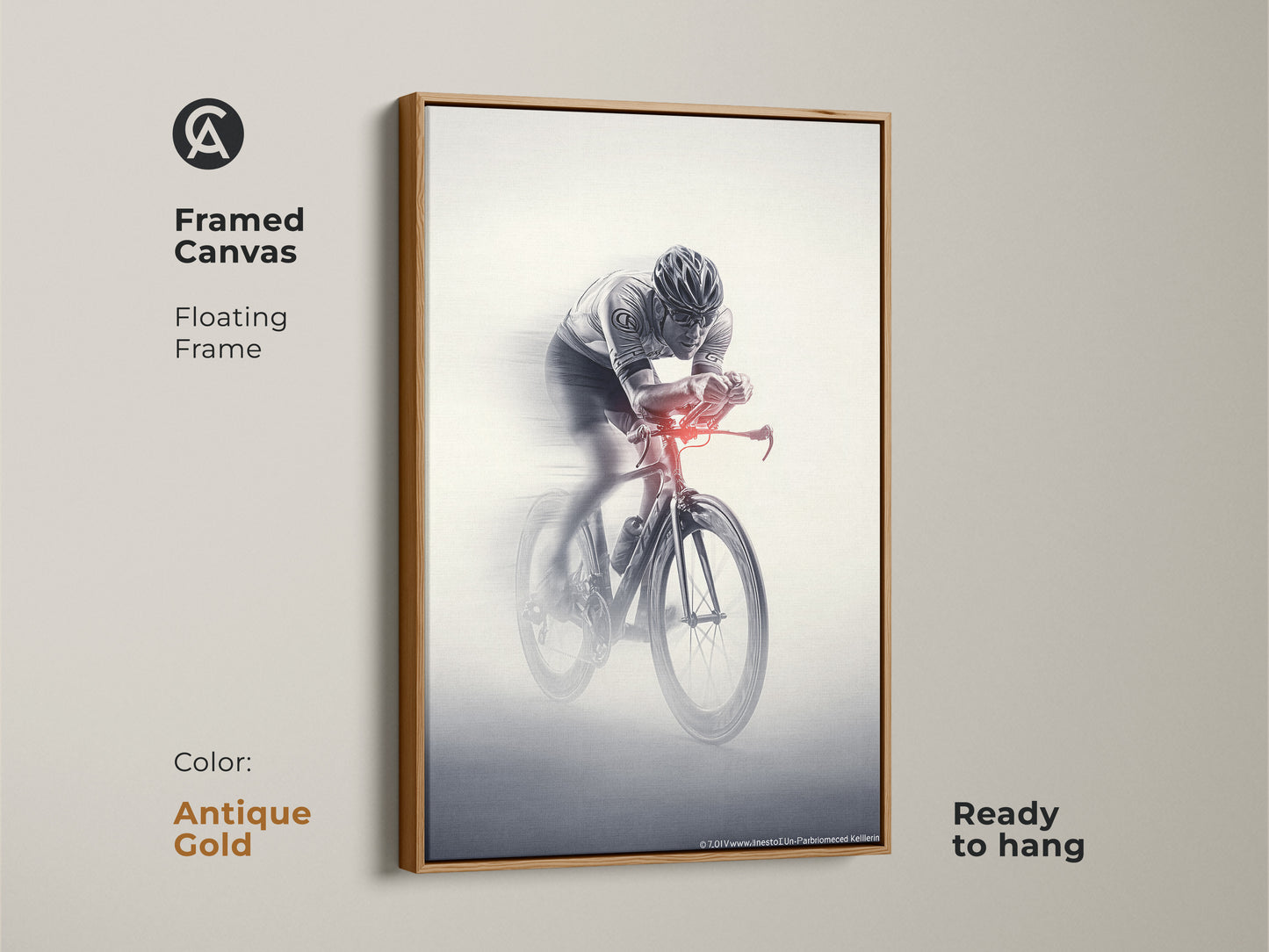 Framed canvas of a cyclist in motion. This floating frame is in antique gold. The monochrome action art is ready to hang. This sports speed wall art provides dynamic decor. A perfect piece for office workplace art.