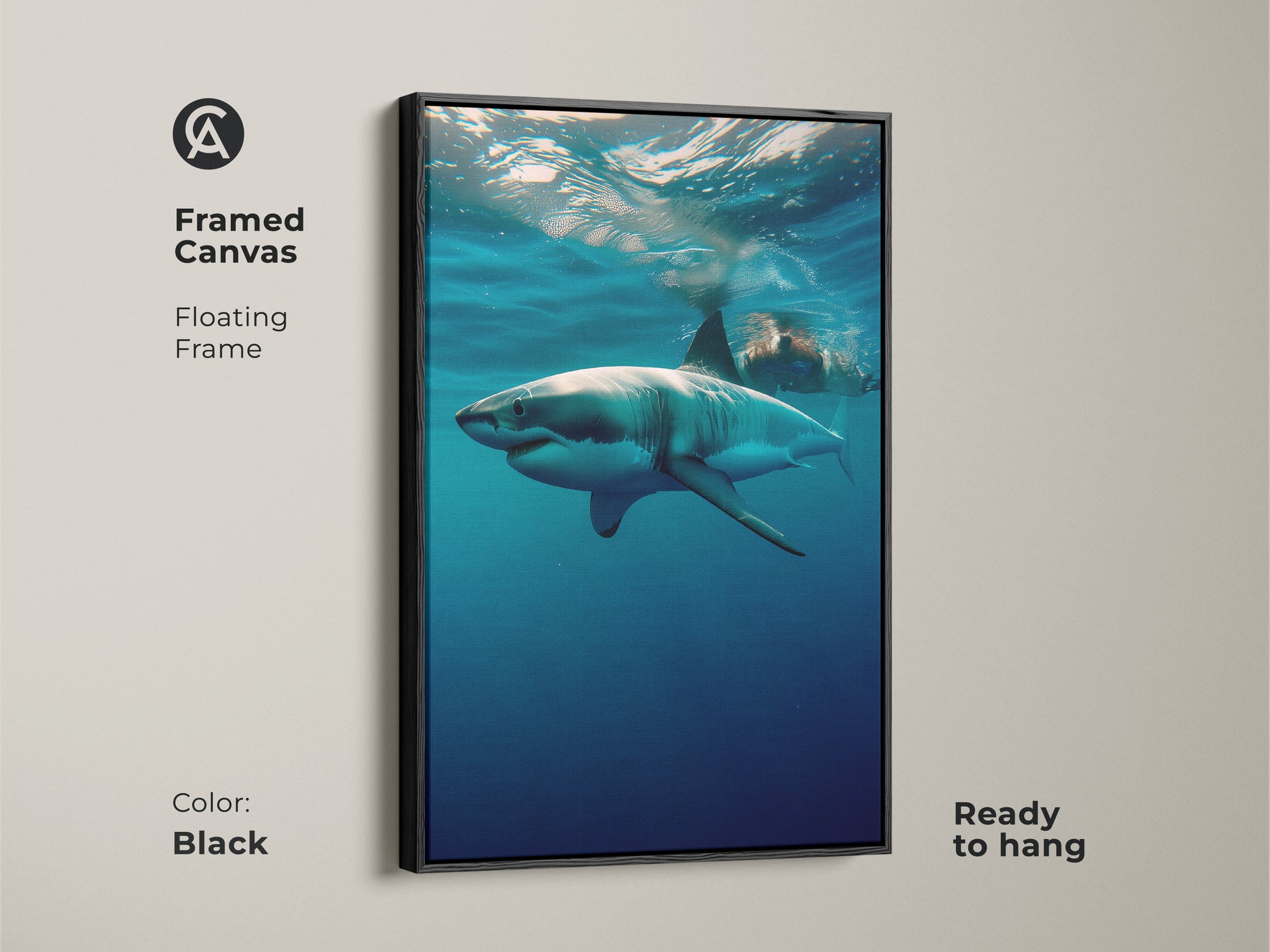 Framed canvas featuring an Underwater Great White Shark art print. The black floating frame enhances the blue ocean animal print. Ready to hang this contemporary shark decor will add a touch of the wild to your bedroom wall. A great gift for shark lovers.
