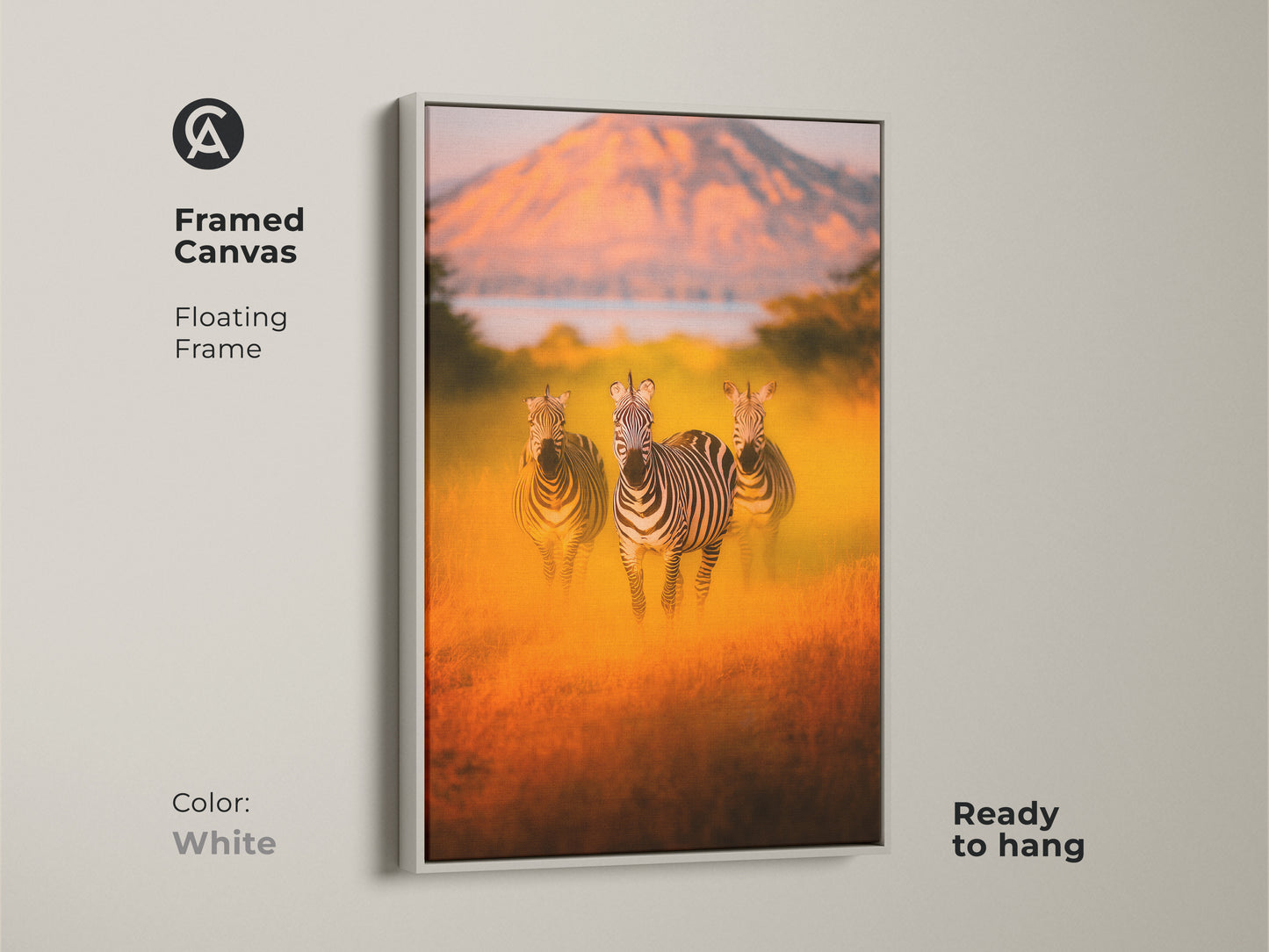Framed canvas art of zebras in the African savanna with a floating white frame. The wildlife artwork is ready to hang. A perfect piece for eclectic home decor as a thoughtful housewarming gift. Animal print brings warm earth tones to your space. This safari theme with orange savanna colors.