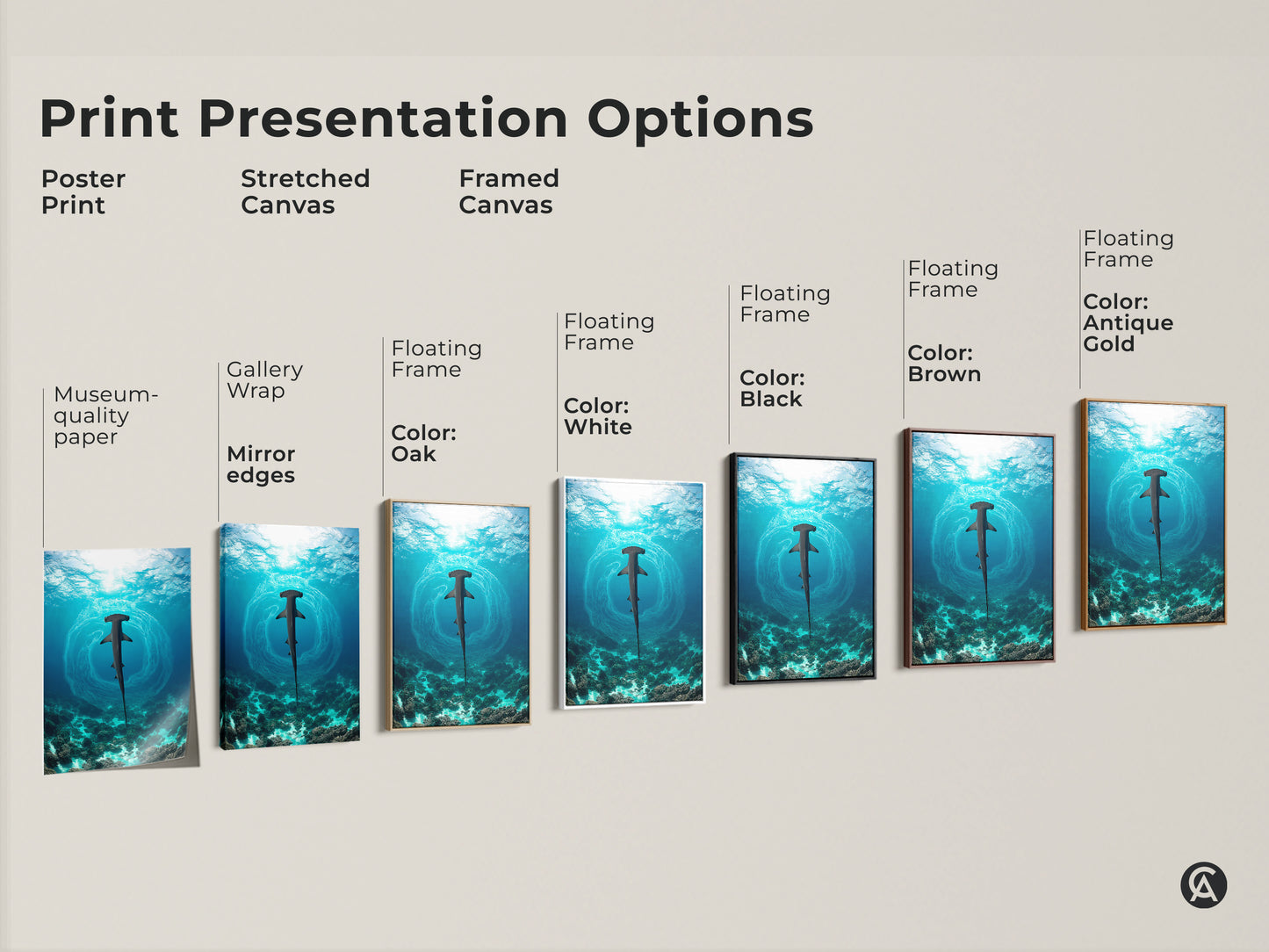 Print presentation options for hammerhead shark artwork. The image shows poster prints stretched canvas and framed canvas. Floating frames come in oak white black brown and antique gold. Museum-quality edges.